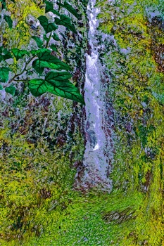 N 133C